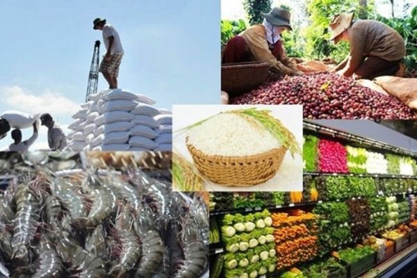 Thế chấp tài sản trong hợp đồng mua bán nông sản